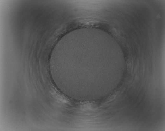 X0000080810769200701122240