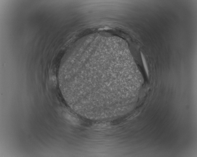 X0000080810771200701122240