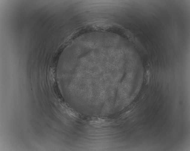 X0000080810772200701122240