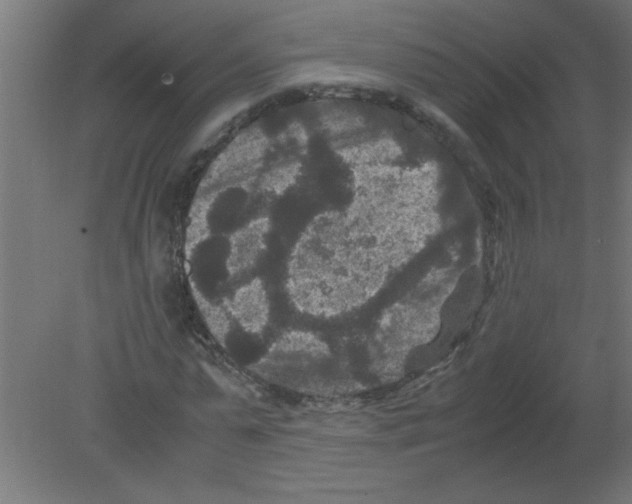 X0000080810775200701122240