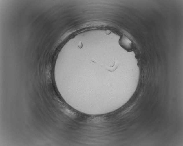 X0000080810778200701122240