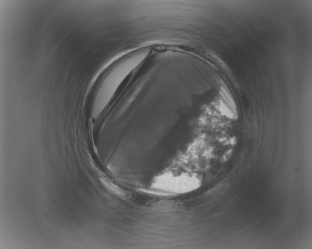 X0000080810779200701122240