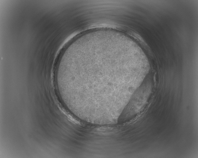 X0000080810780200701122240