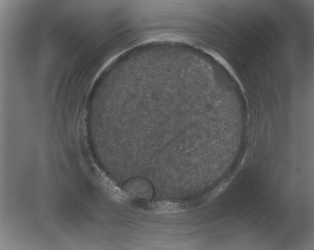 X0000080810783200701122240