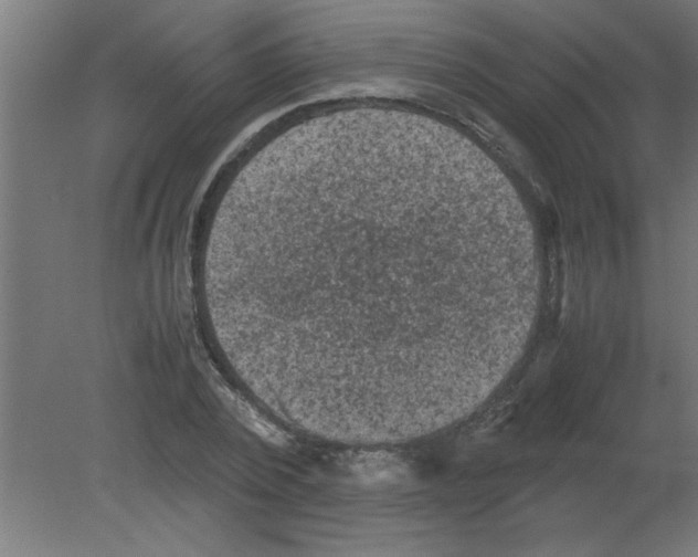 X0000080810784200701122240