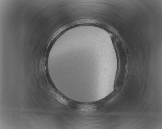 X0000080810786200701122239