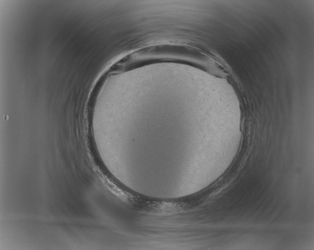 X0000080810787200701122239