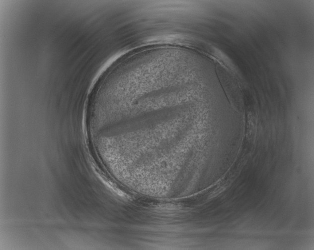 X0000080810788200701122239