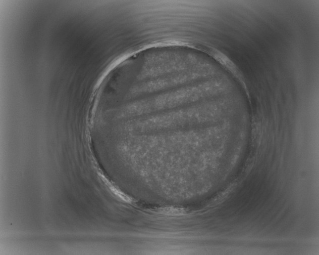 X0000080810789200701122239