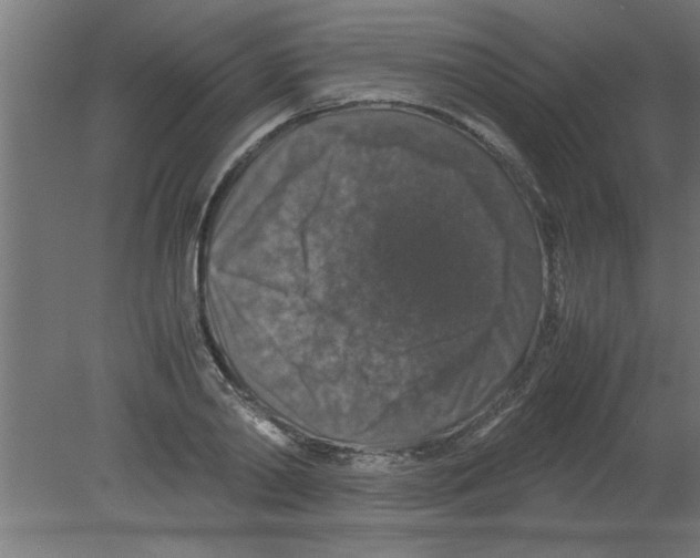 X0000080810790200701122239