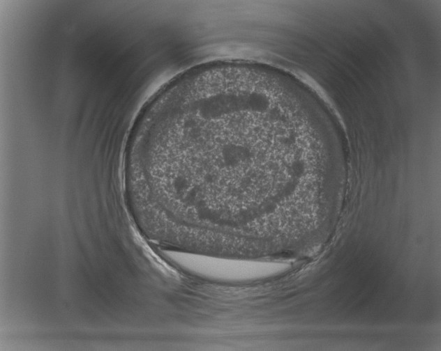 X0000080810791200701122239