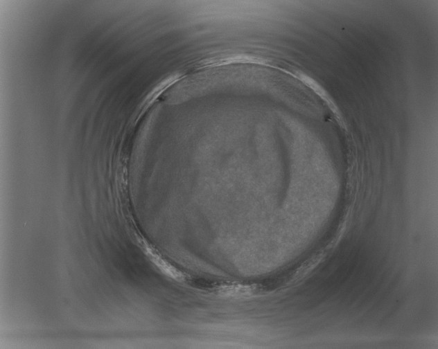 X0000080810793200701122239