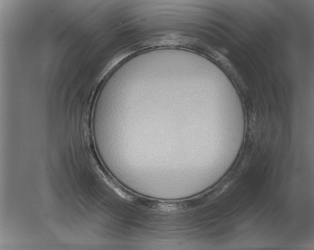 X0000080810794200701122239