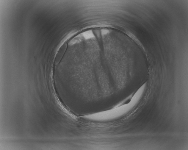 X0000080810797200701122239