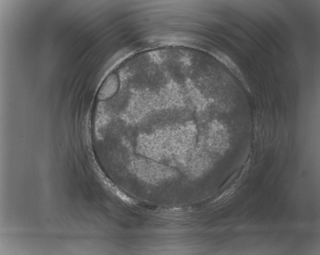 X0000080810798200701122239