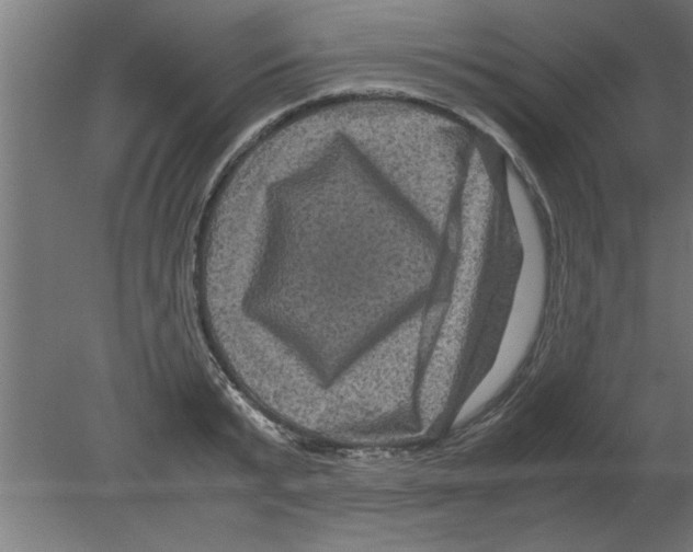 X0000080810799200701122239