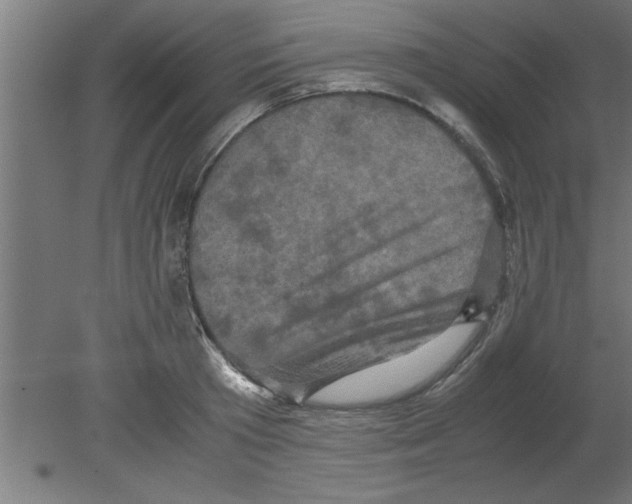 X0000080810801200701122239