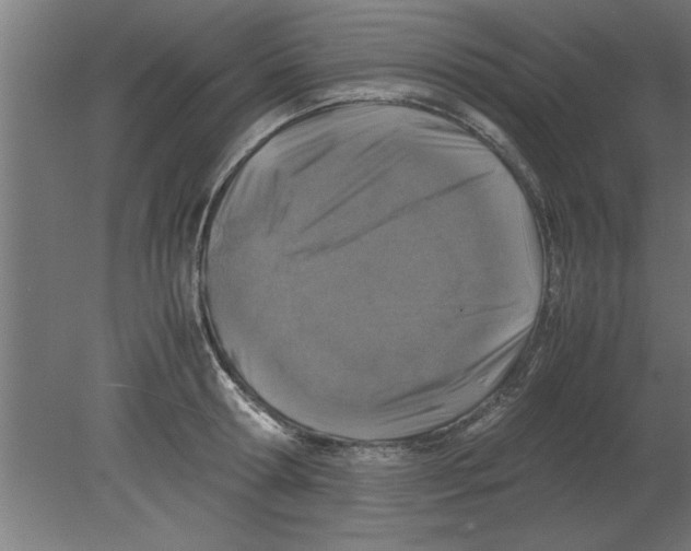 X0000080810802200701122239