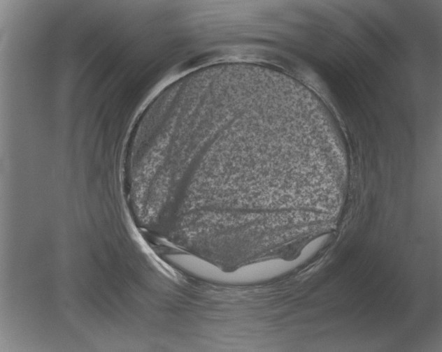 X0000080810803200701122239