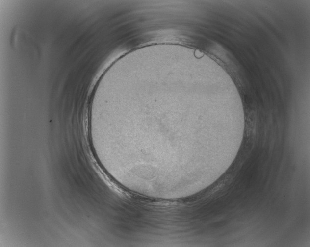 X0000080810804200701122239