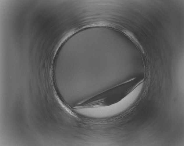 X0000080810805200701122239