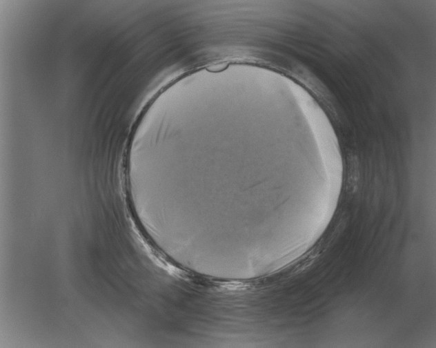 X0000080810806200701122239