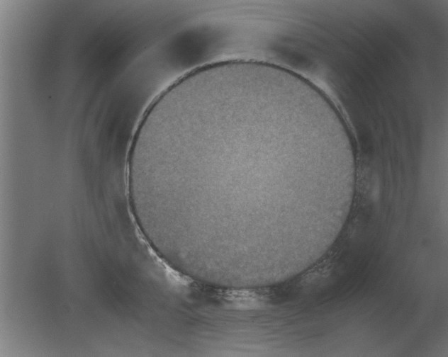 X0000080810807200701122239