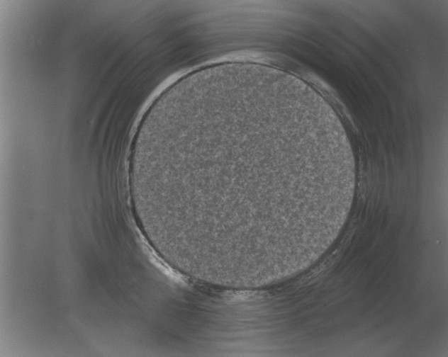 X0000080810808200701122239