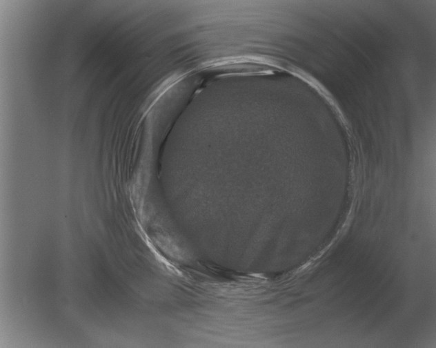 X0000080810809200701122239