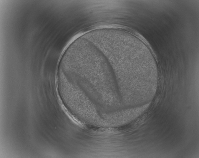 X0000080810811200701122239