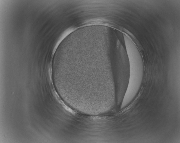 X0000080810812200701122239