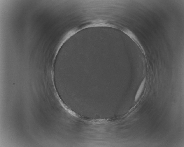 X0000080810813200701122239