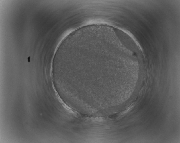 X0000080810815200701122239