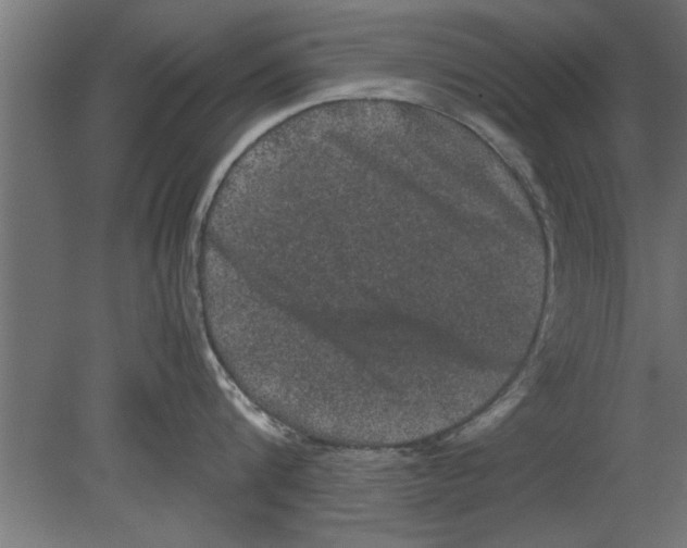 X0000080810816200701122239