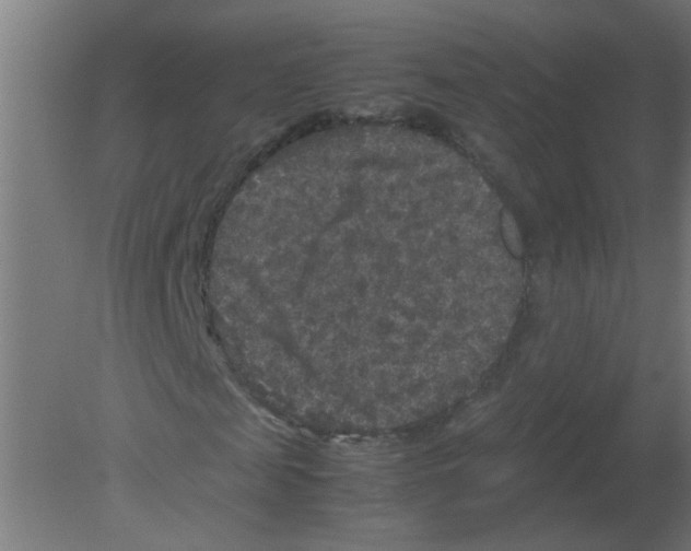 X0000080810817200701122238