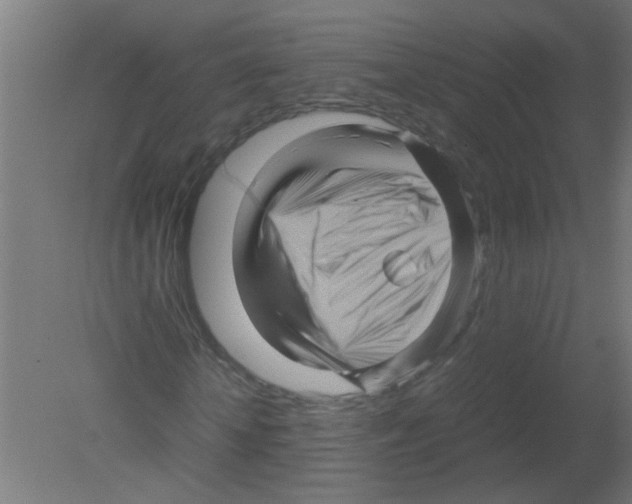 X0000080810818200701122238