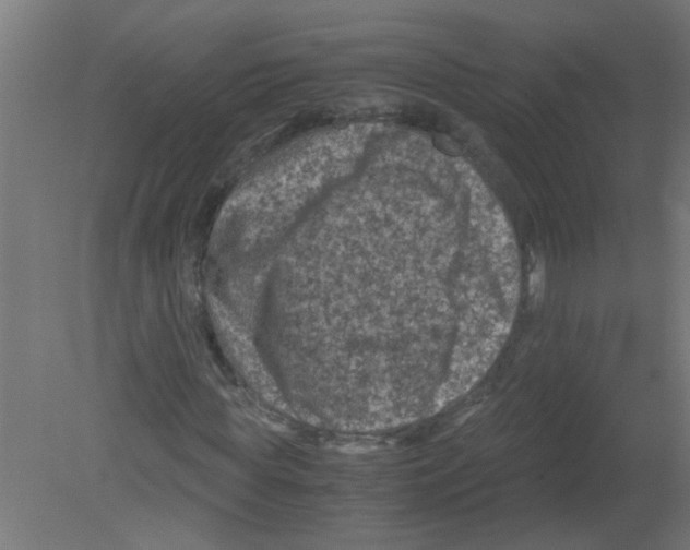 X0000080810819200701122238