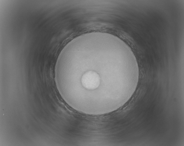 X0000080810820200701122238