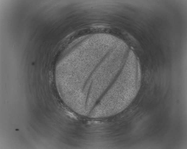 X0000080810821200701122238