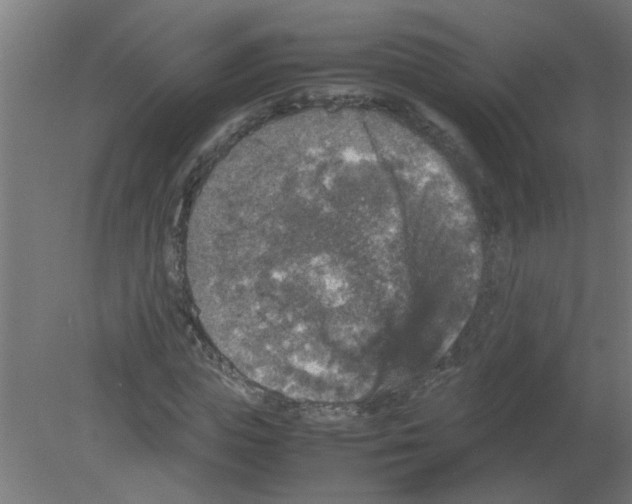 X0000080810823200701122238