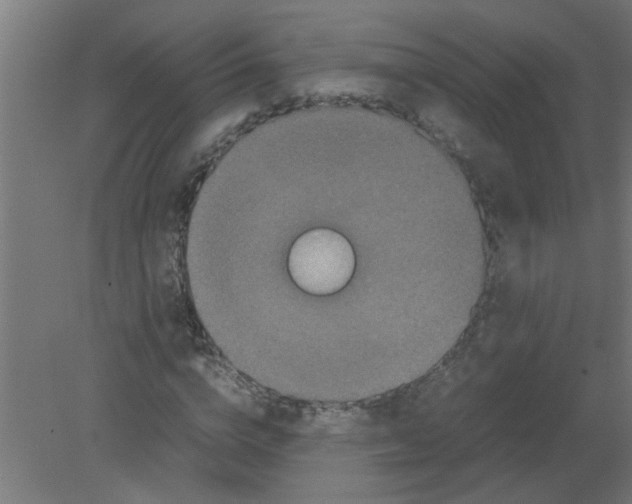 X0000080810824200701122238