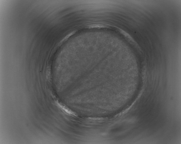 X0000080810825200701122238