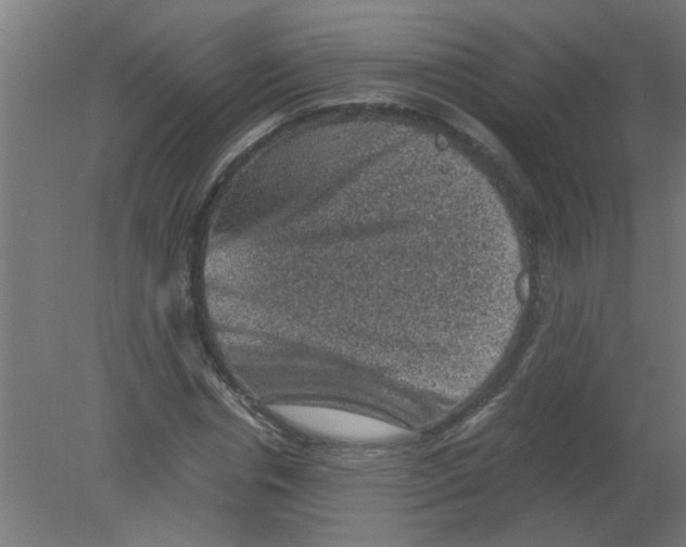 X0000080810826200701122238