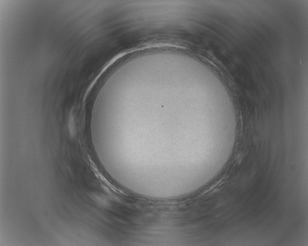 X0000080810828200701122238