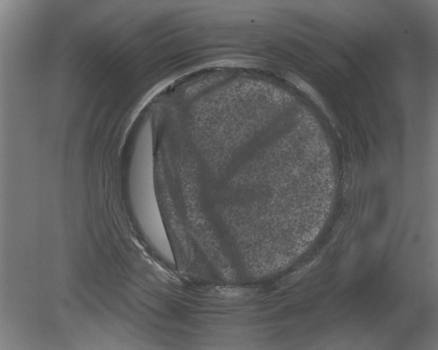 X0000080810829200701122238