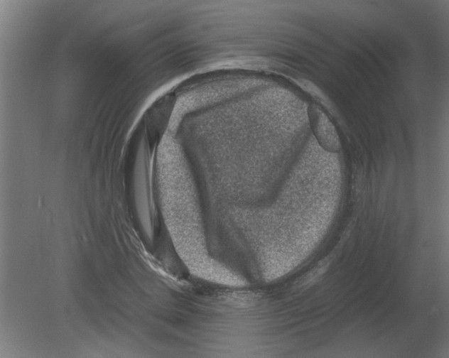 X0000080810830200701122238