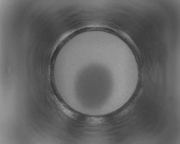 X0000080810831200701122238