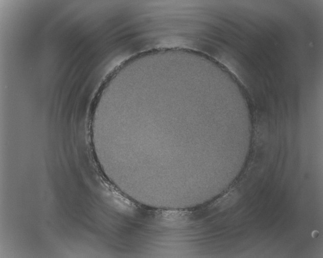 X0000080810832200701122238