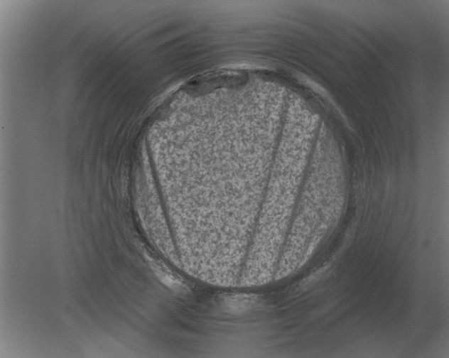 X0000080810833200701122238