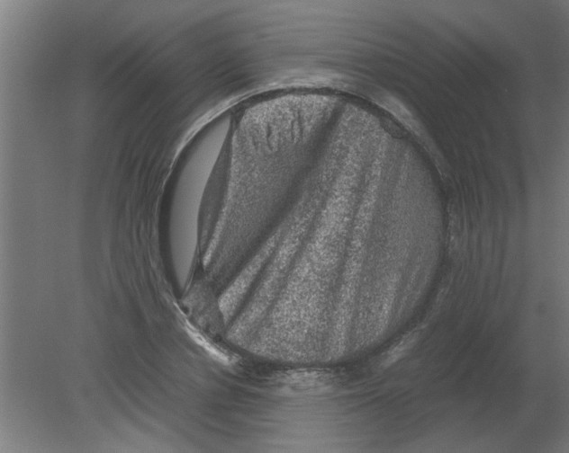 X0000080810834200701122238